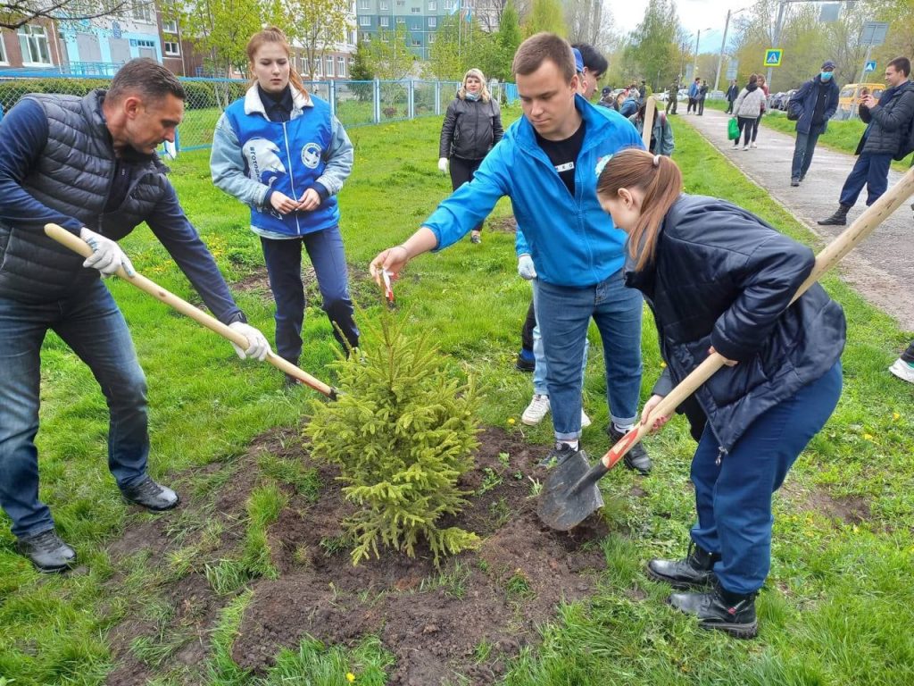 В Заволжском районе высадили деревья в память о погибших в годы ВОВ -  УлСити - новости Ульяновска